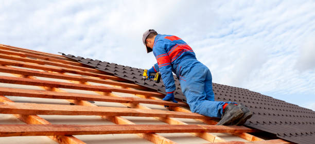 Best Chimney Flashing Repair  in Fris, CO