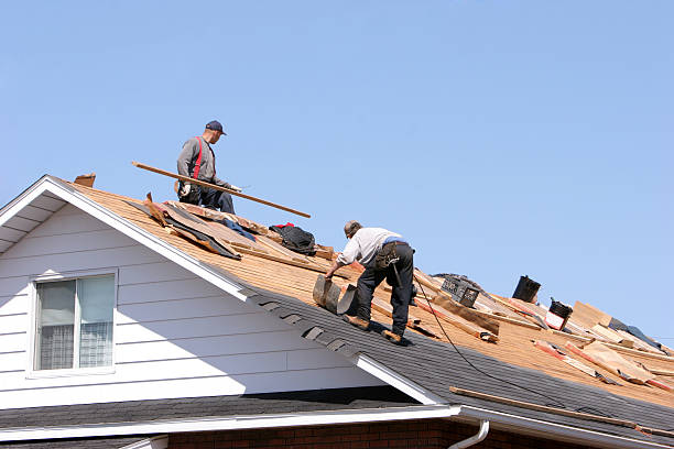 Best Metal Roofing Installation  in Fris, CO